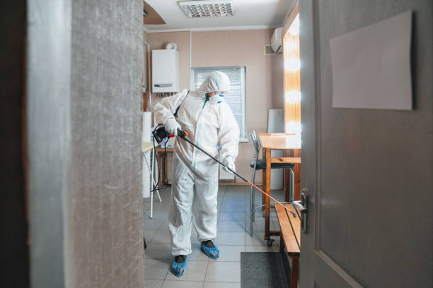 Best Forensic Mold Investigation  in Windermere, FL
