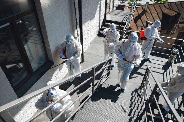 Best Airborne Mold Testing  in Windermere, FL