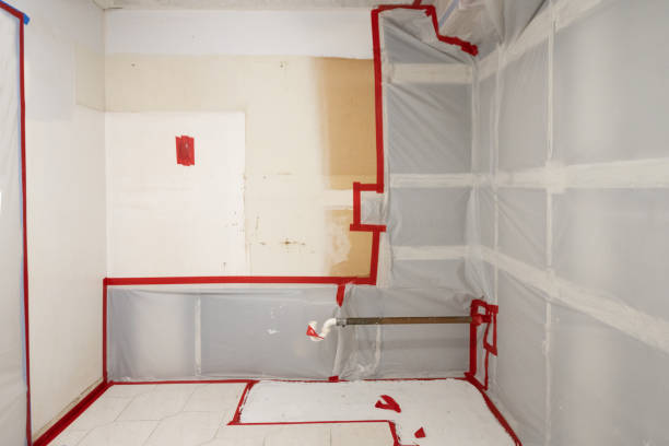Best Mold Remediation for Healthcare Facilities  in Windermere, FL