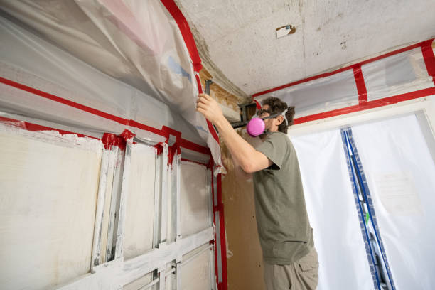 Best Mold Documentation for Insurance Claims  in Windermere, FL