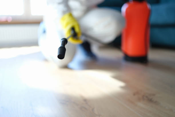 Best HVAC Mold Inspection and Cleaning  in Windermere, FL