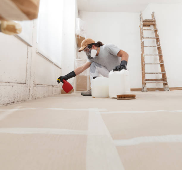 Best Water Damage & Mold Remediation  in Windermere, FL